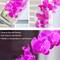 32 Inch Artificial Phalaenopsis Flowers 6 Pcs Artificial Orchid Flowers Stem Plants for Home Décor (Purple)